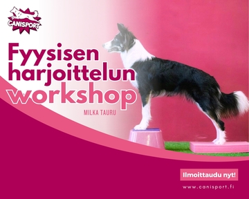 Fyysisen harjoittelun workshop - Milka Tauru