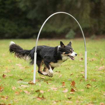 Hoopers ykkönen