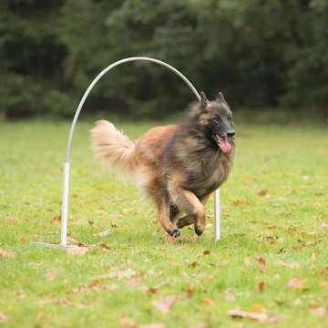 Hoopers starttikurssi