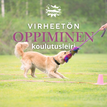 Virheetön oppiminen – koulutusleiri