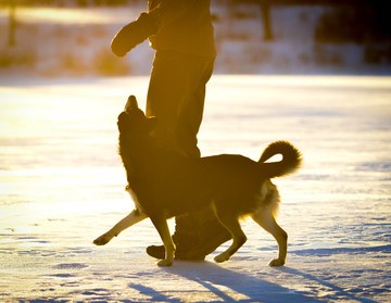 Yhteistyökupla