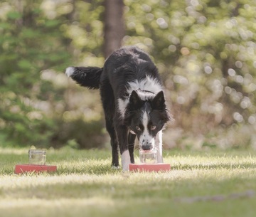 Nosework irtotunnit