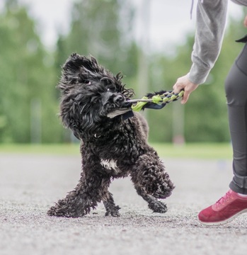 PK kuukausivalmennus – Riitta Kivimäki