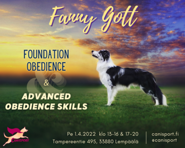 Foundation Obedience & Advanced Obedience Skills – Fanny Gott, swe