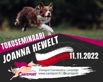 Tokoseminaari – Joanna Hewelt, pol