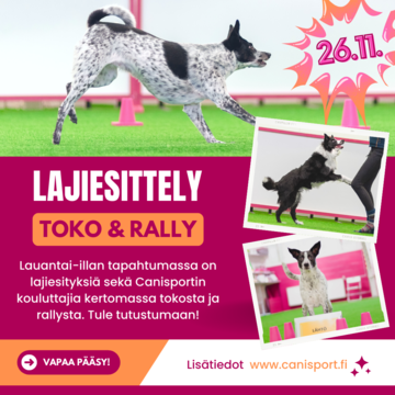 Lajiesittelyilta – Toko & Rally-toko