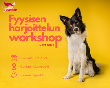 Fyysisen harjoittelun workshop - Milka Tauru